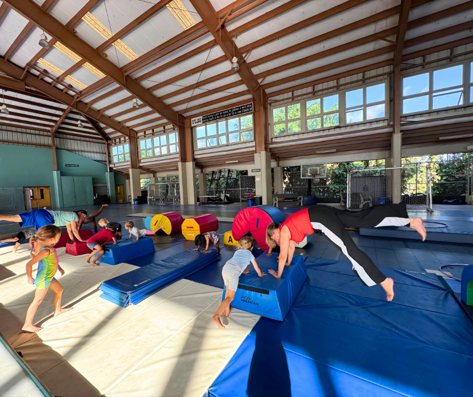 Young gymnasts training at CLC Gymnastics Academy